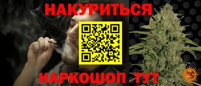 индика Краснознаменск