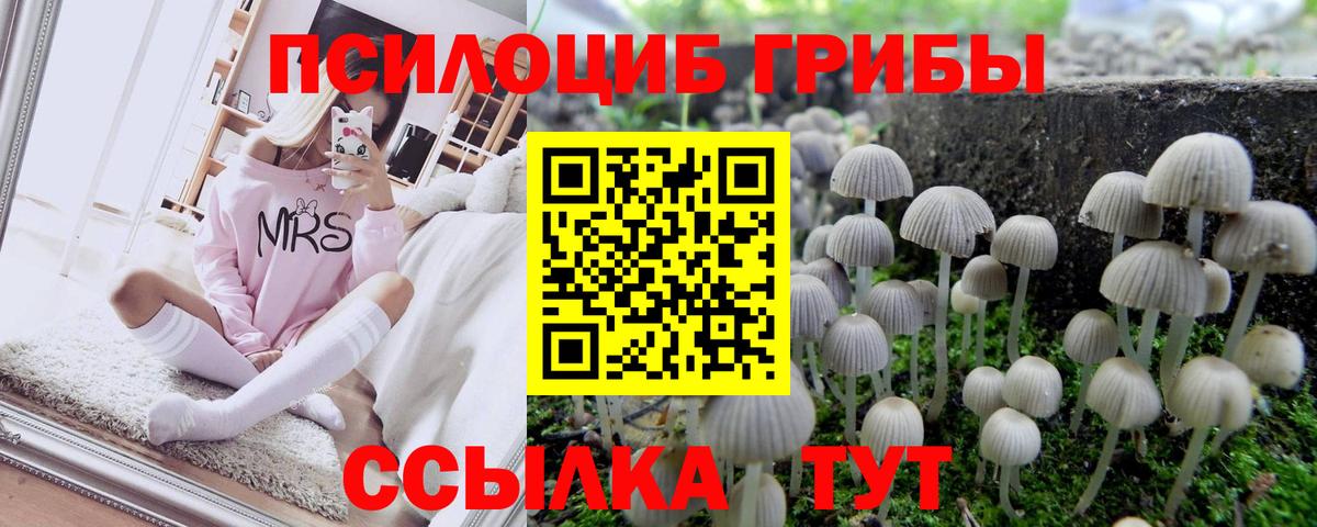 Псилоцибиновые грибы GOLDEN TEACHER  Вход с VPN  Касимов 
