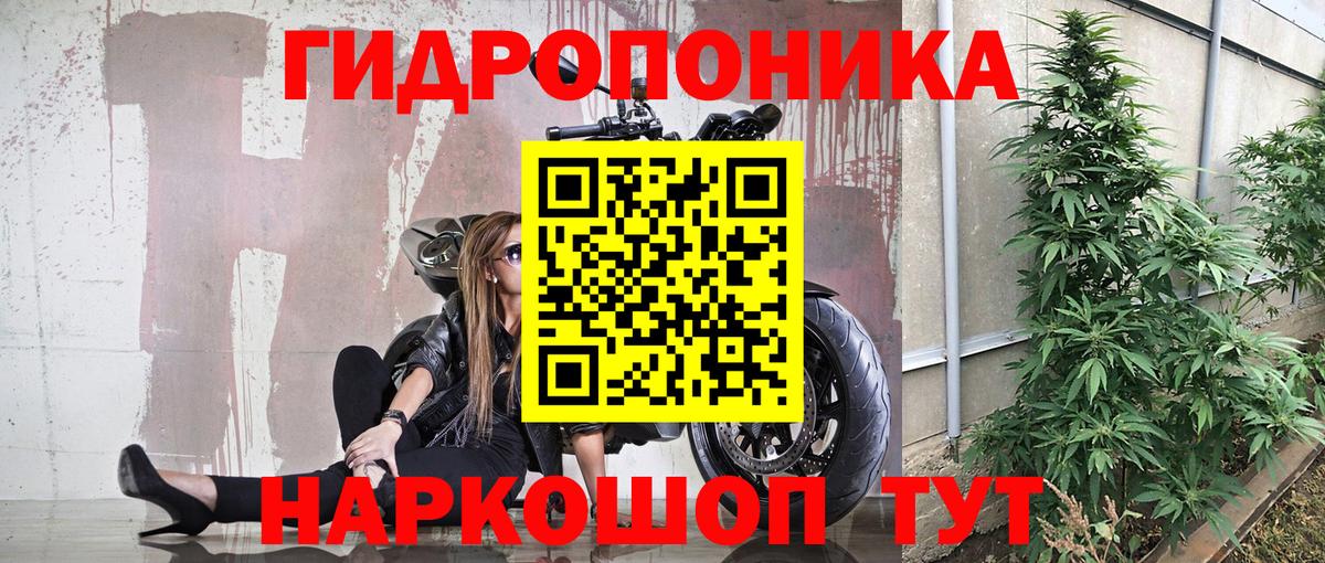 Каннабис SATIVA & INDICA  Бошки марихуана White Widow  Касимов  Вход с VPN 